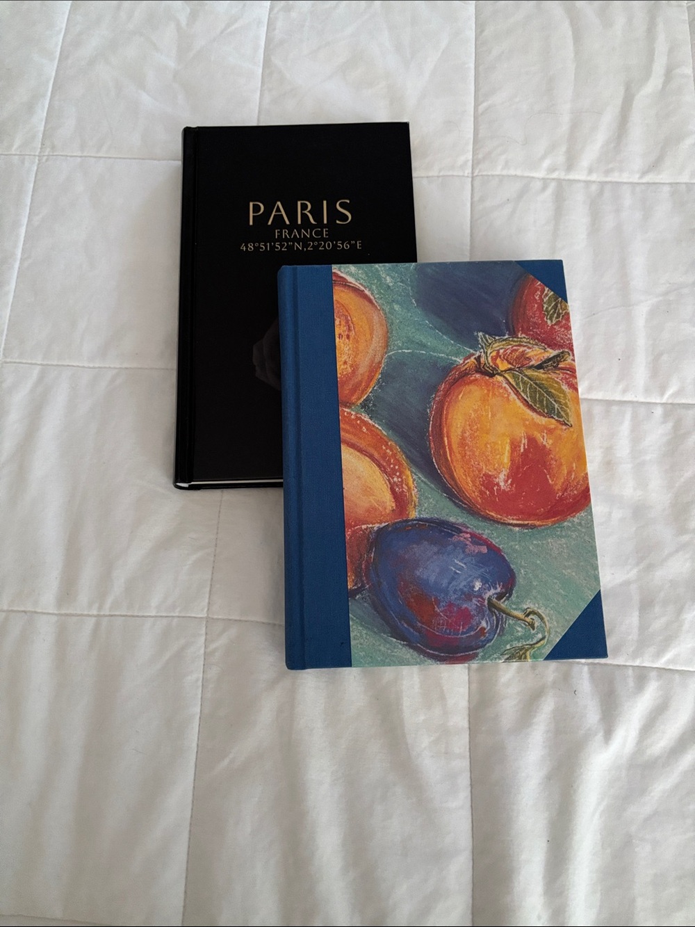 Decorative Fruit Cover Journal - Blue and Paris sketchbook or journal NEW